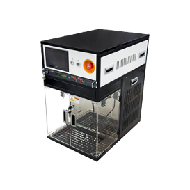 LBWS-100